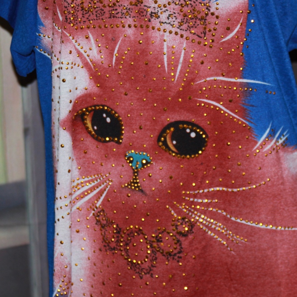 Ameri Mode Princess Kitty Long Shirt - image 2